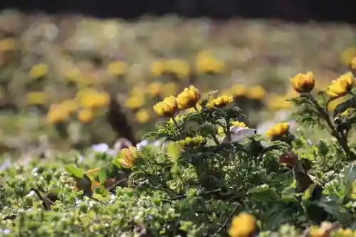 正観音堂の自然