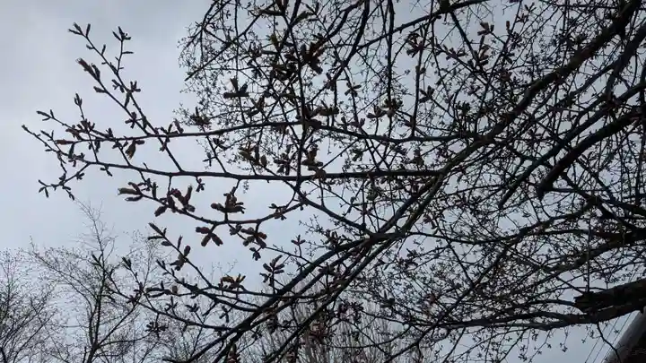 神居神社遥拝所(北海道)