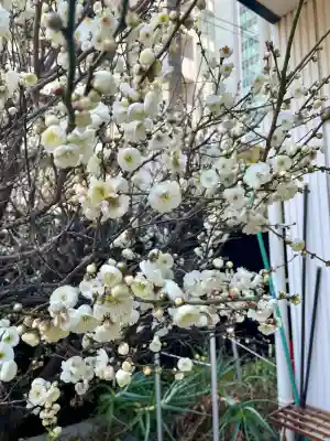 妙典寺の{uncategorized: "未分類", other: "その他", undefined: "問題あり", building: "その他建物", grave: "お墓", sacred_gate: "鳥居", guardian: "狛犬", statue: "像", buddha: "仏像", history: "歴史", nature: "自然", garden: "庭園", animal: "動物", pagoda: "塔", temizu: "手水舎", mountain_gate: "山門・神門", sanctuary: "本殿・本堂", subordinate: "末社・摂社", art: "芸術", scenery: "景色", jizo: "地蔵", ema: "絵馬", goshuin: "御朱印", omikuji: "おみくじ", items: "授与品その他", amulet: "お守り", goshuincho: "御朱印帳", eats: "食事", festival: "お祭り", votive_dance: "神楽", shichigosan: "七五三参", wedding: "結婚式", experience: "体験その他", initially: "初詣", around: "周辺", anti_infection: "感染症対策"}