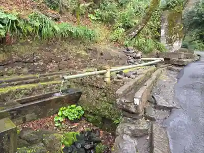 猫神社(鹿児島県)