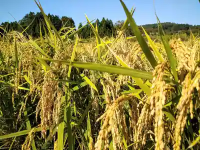 熊野神社(宮城県)