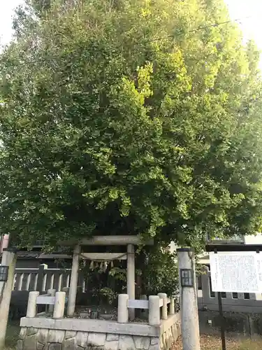 川巴良諏訪神社の鳥居