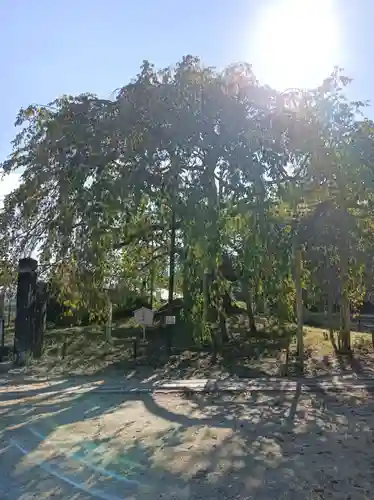 座光如来寺（元善光寺）(長野県)