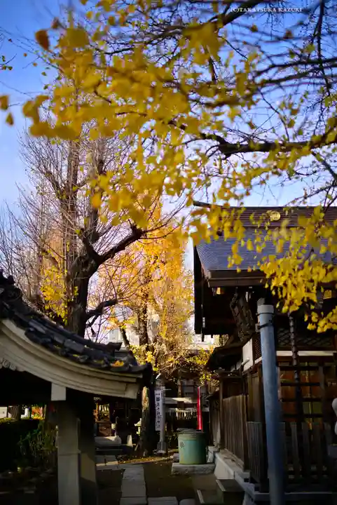 飛木稲荷神社(東京都)