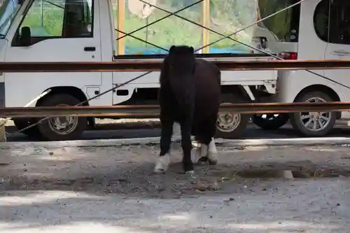 天河大辨財天社(奈良県)