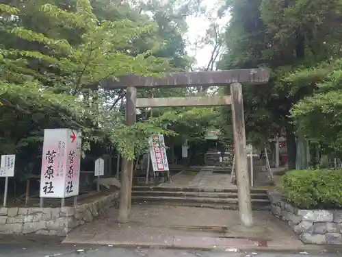 津島神社の鳥居