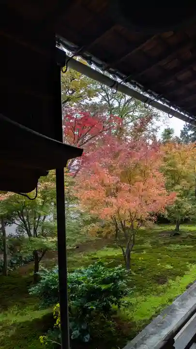 興聖寺(京都府)