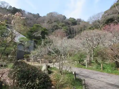 光則寺の庭園