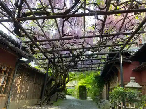 長岡天満宮の庭園