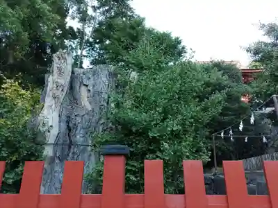 鶴岡八幡宮(神奈川県)