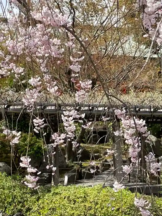 城南宮(京都府)