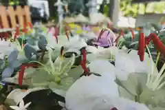 立志神社(滋賀県)