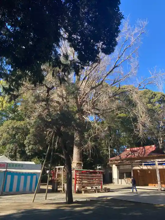 平塚八幡宮(神奈川県)