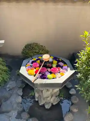 神楽坂安養寺(東京都)