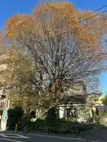 小野神社の自然