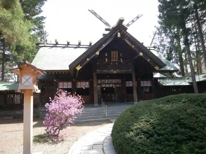 琴似神社(北海道)