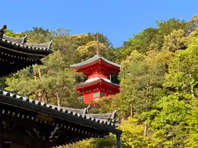 今熊野観音寺(京都府)