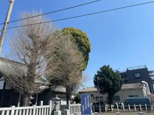 稲荷神社（田名新宿）のその他建物