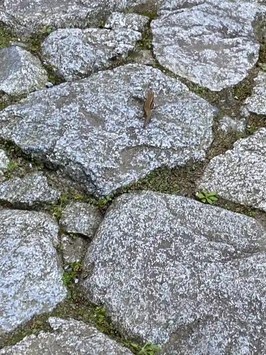 高天彦神社(奈良県)