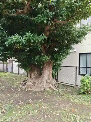 巽神社(神奈川県)