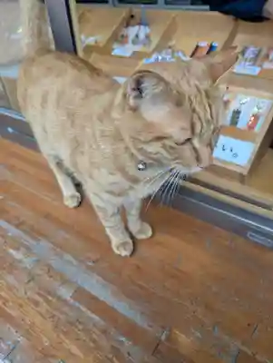 鹿島御児神社(宮城県)