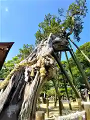 新北神社の自然