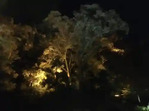 高台寺（高台寿聖禅寺・高臺寺）の自然