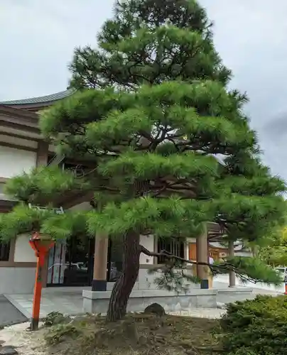 方違神社の自然