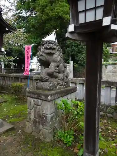 今宮神社の狛犬