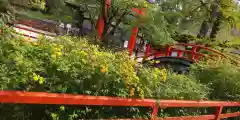 賀茂御祖神社（下鴨神社）(京都府)