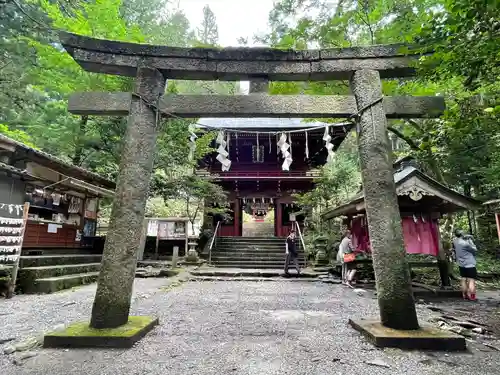 花園神社の鳥居