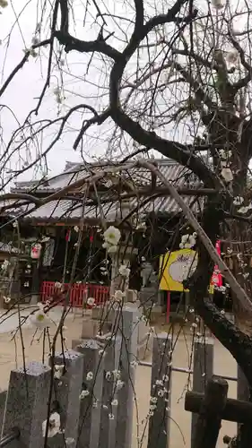 佐太神社(佐太天神宮)のその他建物