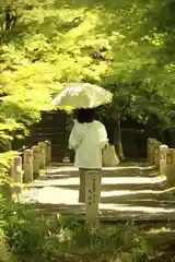 根来寺 智積院(京都府)