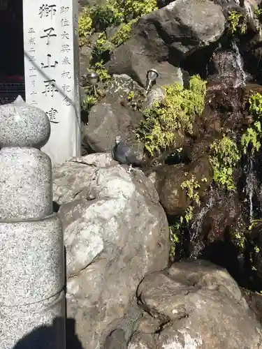 神田神社（神田明神）の動物