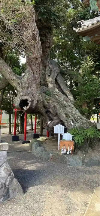 高塚熊野神社の庭園