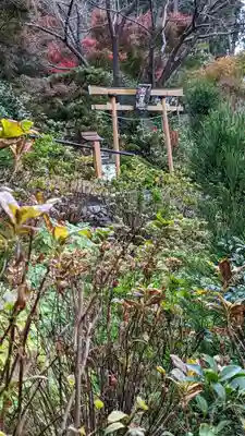 善峯寺(京都府)