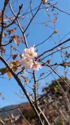 勧修寺(京都府)