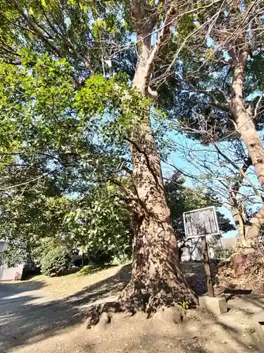 春日神社(静岡県)