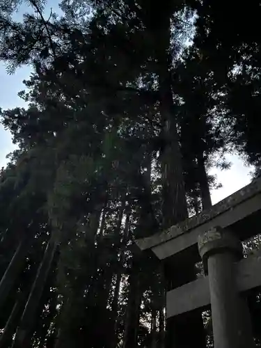 大宮温泉神社(栃木県)