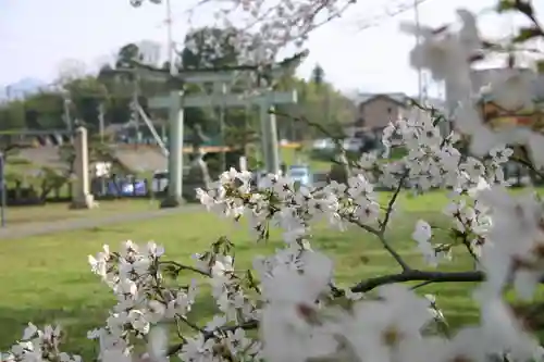 琵琶神社の鳥居