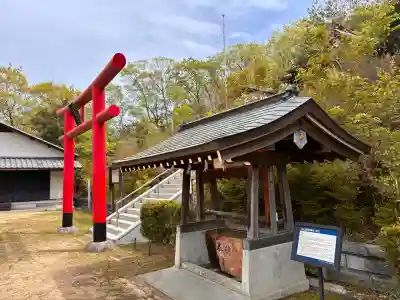 丸山稲荷神社本社の{uncategorized: "未分類", other: "その他", undefined: "問題あり", building: "その他建物", grave: "お墓", sacred_gate: "鳥居", guardian: "狛犬", statue: "像", buddha: "仏像", history: "歴史", nature: "自然", garden: "庭園", animal: "動物", pagoda: "塔", temizu: "手水舎", mountain_gate: "山門・神門", sanctuary: "本殿・本堂", subordinate: "末社・摂社", art: "芸術", scenery: "景色", jizo: "地蔵", ema: "絵馬", goshuin: "御朱印", omikuji: "おみくじ", items: "授与品その他", amulet: "お守り", goshuincho: "御朱印帳", eats: "食事", festival: "お祭り", votive_dance: "神楽", shichigosan: "七五三参", wedding: "結婚式", experience: "体験その他", initially: "初詣", around: "周辺", anti_infection: "感染症対策"}
