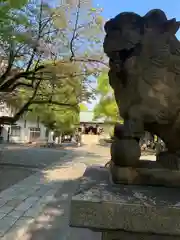 亀戸 香取神社(東京都)