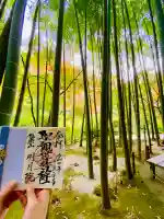 明月院(神奈川県)