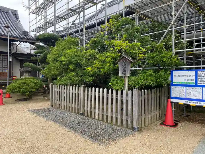 誉田八幡宮(大阪府)