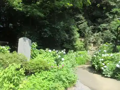 少林寺(埼玉県)