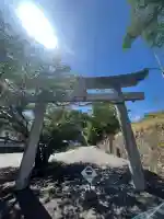 河内神社の{uncategorized: "未分類", other: "その他", undefined: "問題あり", building: "その他建物", grave: "お墓", sacred_gate: "鳥居", guardian: "狛犬", statue: "像", buddha: "仏像", history: "歴史", nature: "自然", garden: "庭園", animal: "動物", pagoda: "塔", temizu: "手水舎", mountain_gate: "山門・神門", sanctuary: "本殿・本堂", subordinate: "末社・摂社", art: "芸術", scenery: "景色", jizo: "地蔵", ema: "絵馬", goshuin: "御朱印", omikuji: "おみくじ", items: "授与品その他", amulet: "お守り", goshuincho: "御朱印帳", eats: "食事", festival: "お祭り", votive_dance: "神楽", shichigosan: "七五三参", wedding: "結婚式", experience: "体験その他", initially: "初詣", around: "周辺", anti_infection: "感染症対策"}