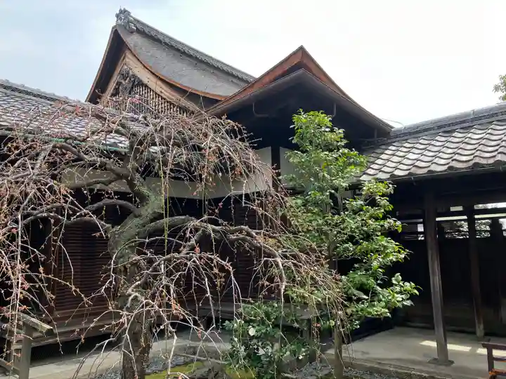 観智院(東寺子院)(京都府)