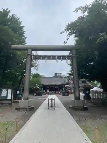 浅草神社の鳥居