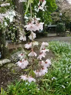 龍光寺(東京都)