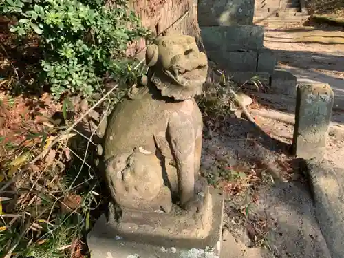 白山神社の狛犬